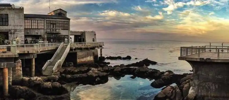 monterey bay aquarium, in california