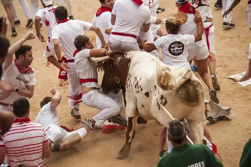 pamplona   festival di san firmino    11