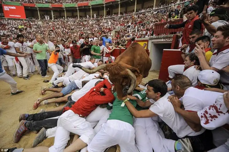 pamplona   festival di san firmino    15