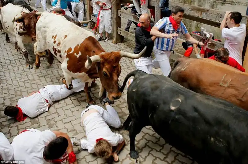 pamplona   festival di san firmino    19