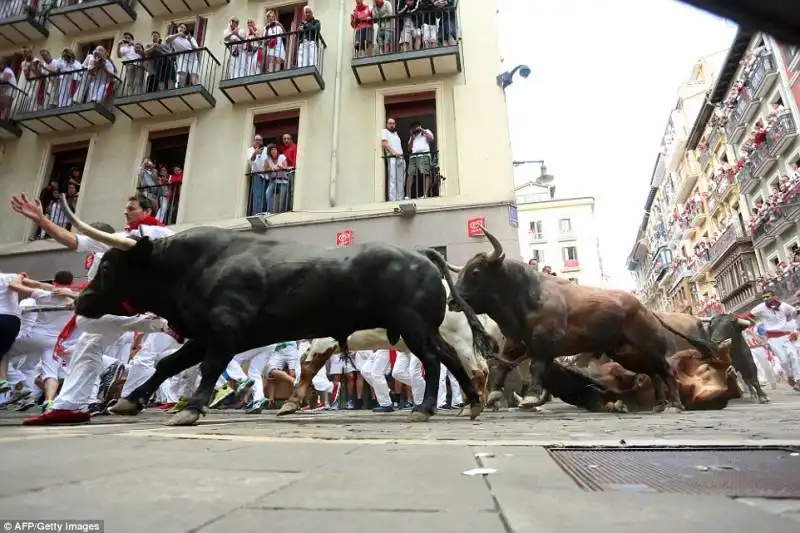 pamplona   festival di san firmino    2