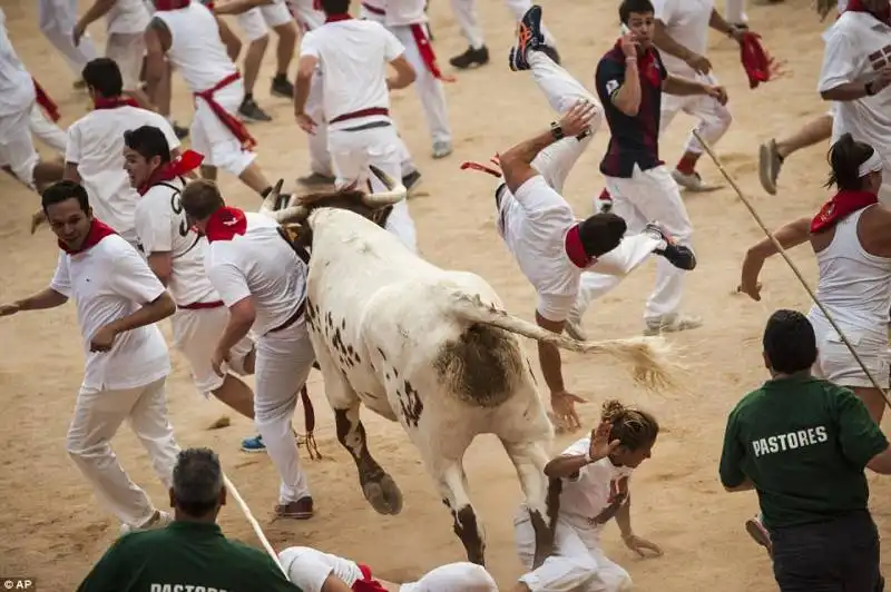 pamplona   festival di san firmino    21