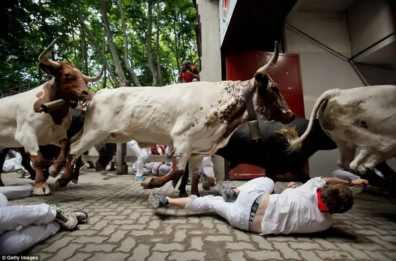 pamplona   festival di san firmino    25