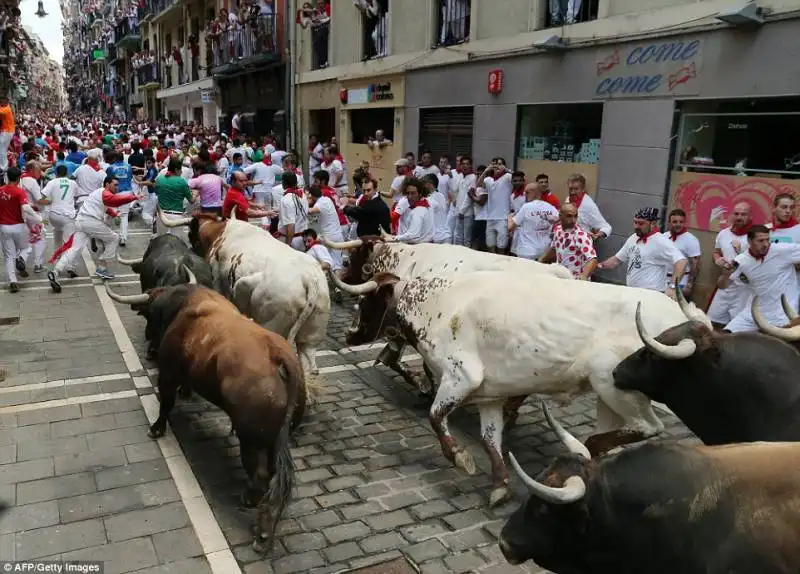 pamplona   festival di san firmino    3