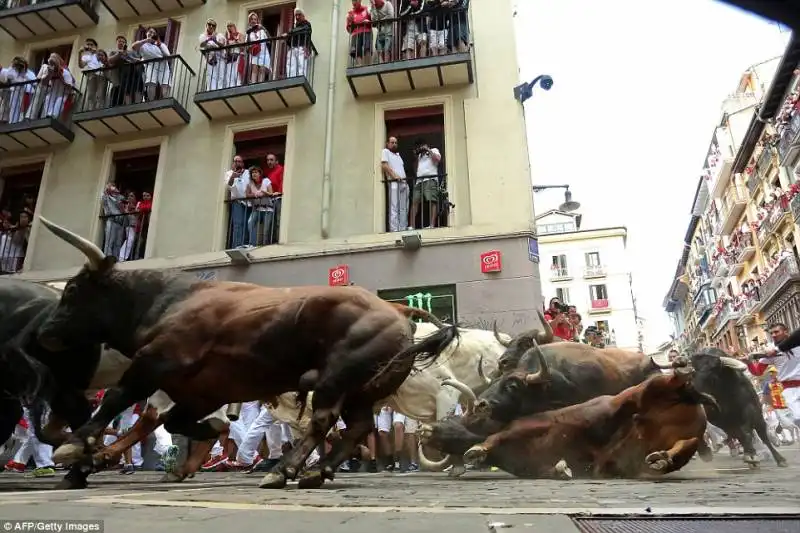 pamplona   festival di san firmino    4