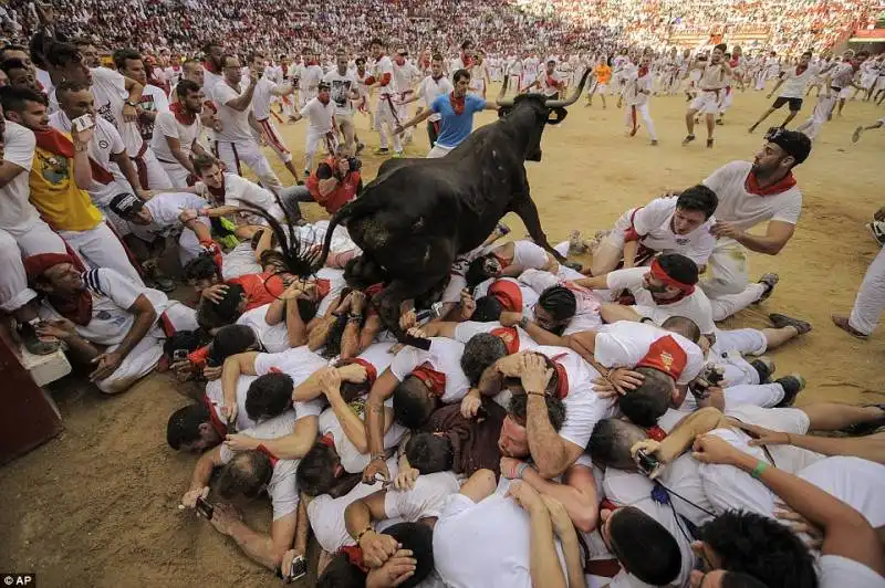 pamplona   festival di san firmino    9