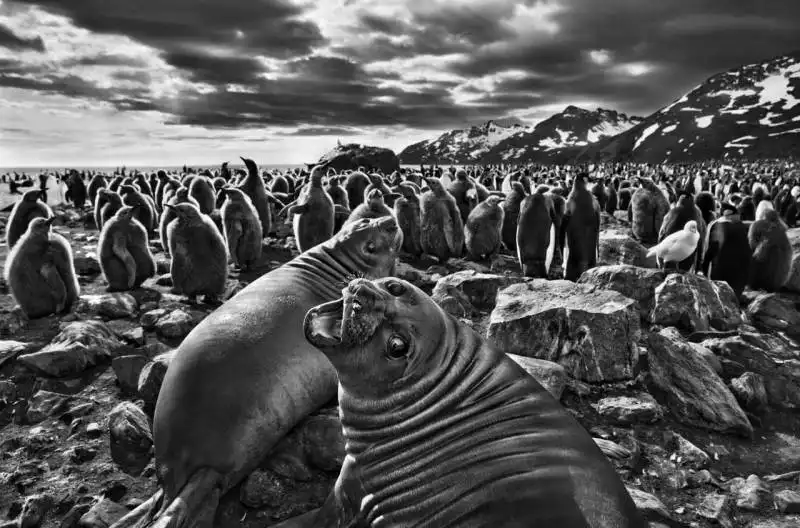 sebastiao salgado 10