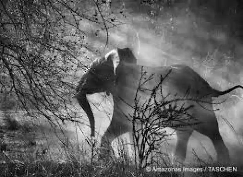 sebastiao salgado 19