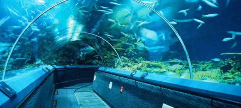 shanghai ocean aquarium