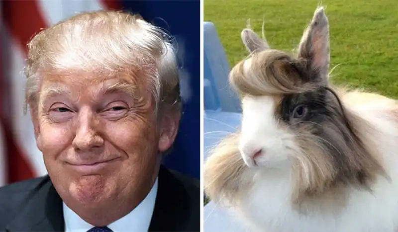 sosia di donald trump 6