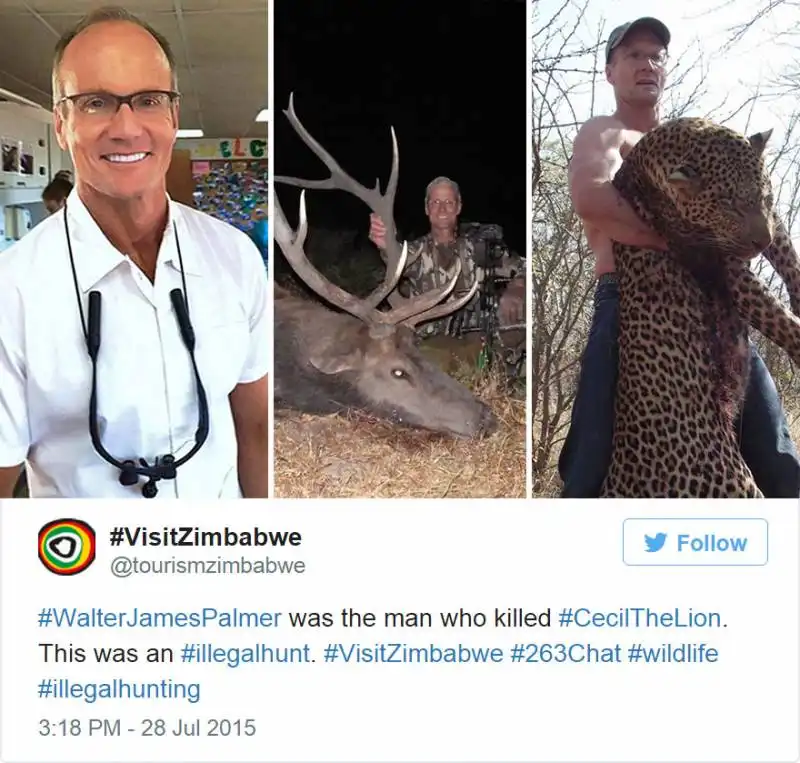 walter palmer che ha ammazzato il leone cecil del parco dello zimbabwe