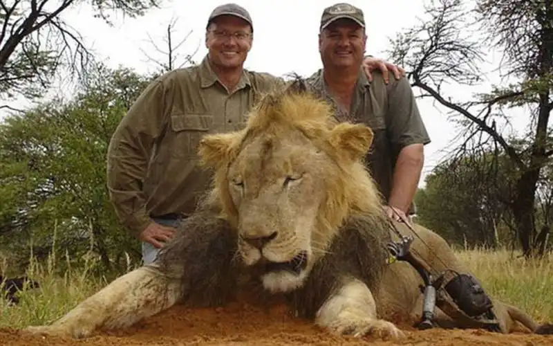 walter palmer che ha ucciso il leone cecil    