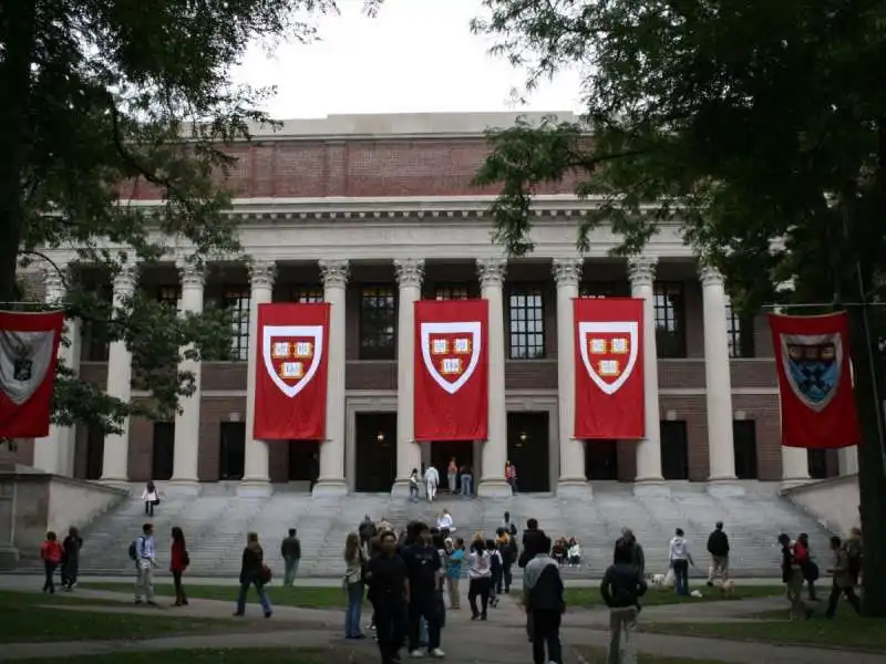 4 - Harvard University