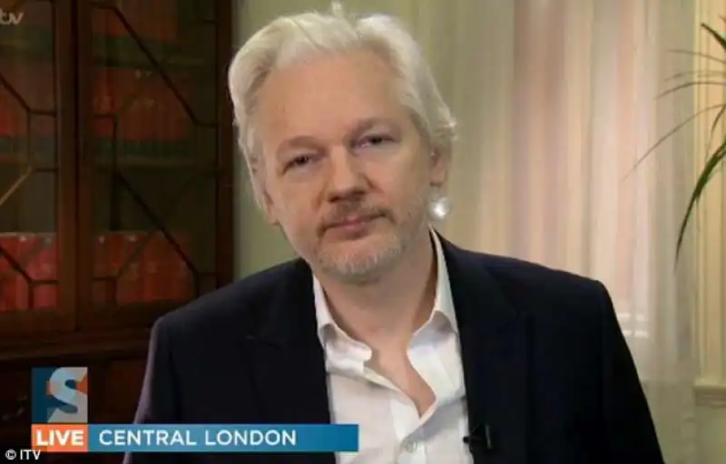 assange