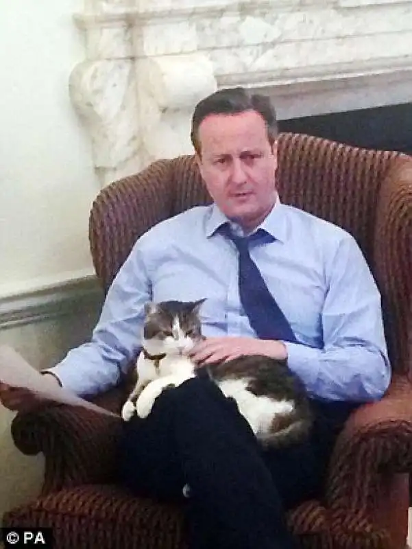 david  cameron  con larry il gatto di downing street