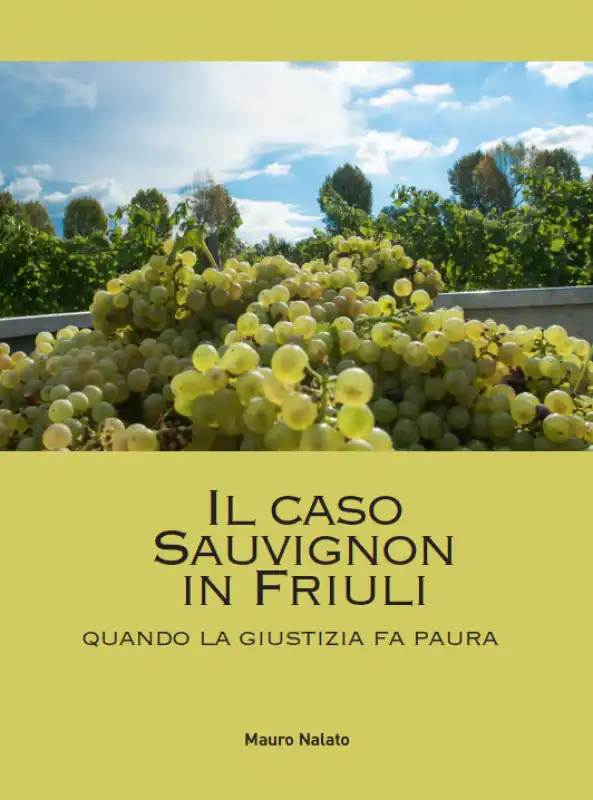 IL CASO SAUVIGNON