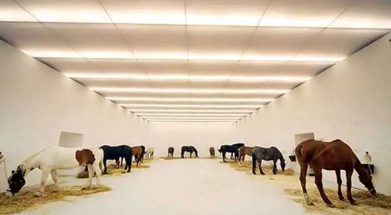 KOUNELLIS 4