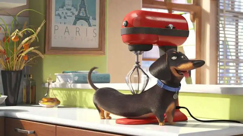 the  secret life  of pets la vita segreta degli animali