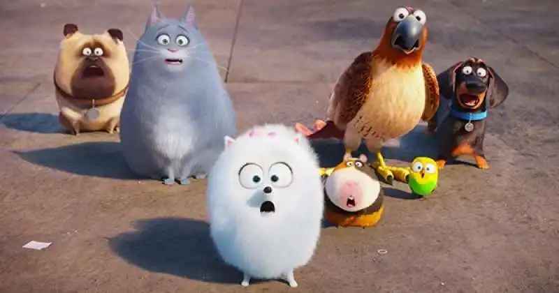 the secret life  of pets la vita segreta degli animali