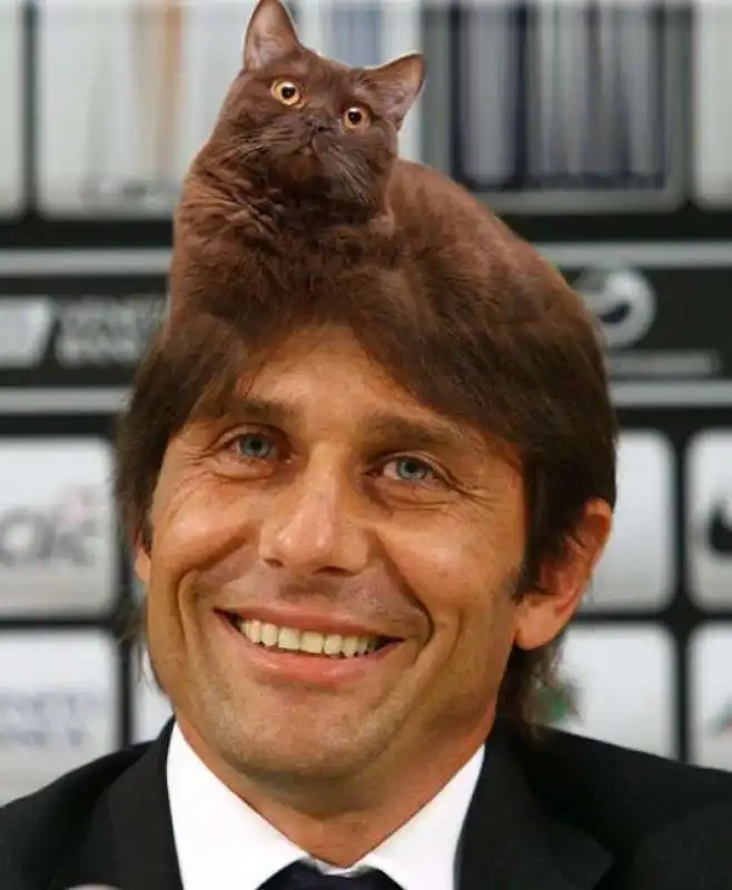 ANTONIO CONTE