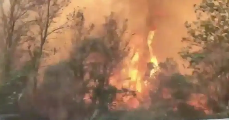 AUTOSTRADA A1 INCENDIO