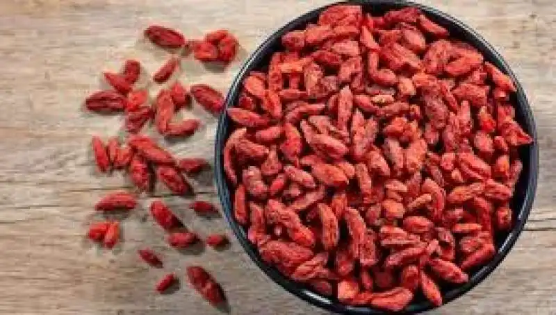 BACCHE DI GOJI