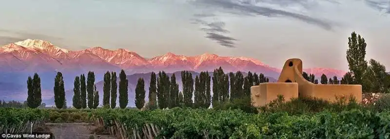 cavas wine lodge a mendoza in argentina