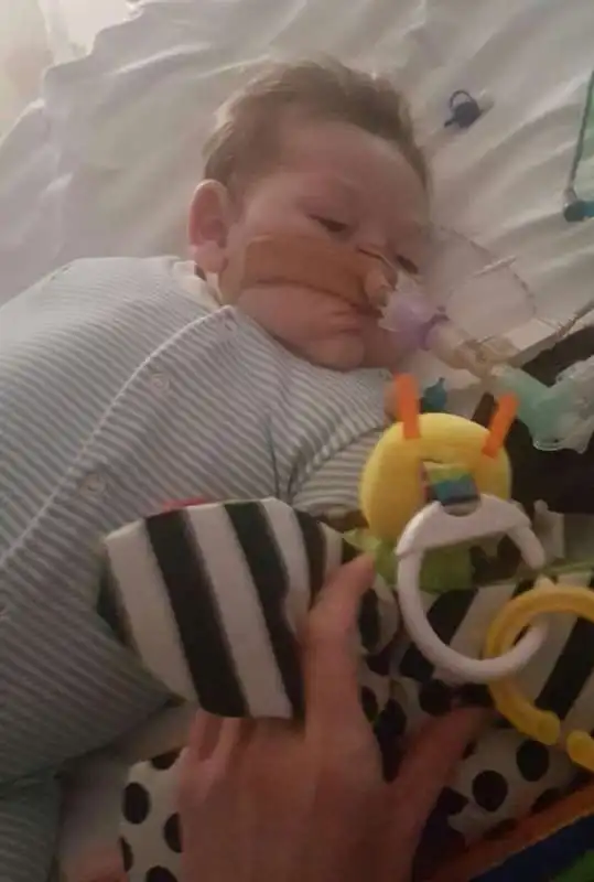 CHARLIE GARD CHE OSSERVA IL GIOCATTOLO