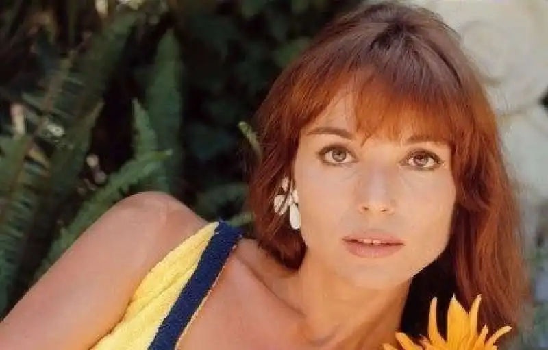 elsa martinelli  4