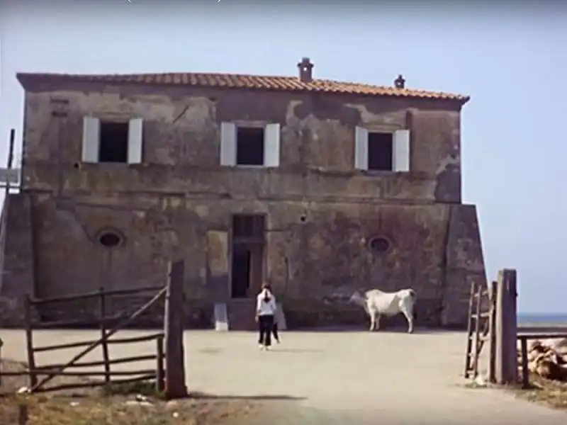 forte di macchiatonda il seme dell uomo di marco ferreri