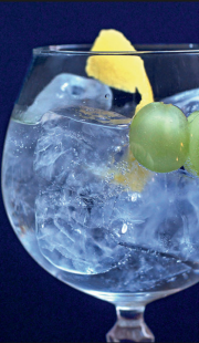 gin tonic