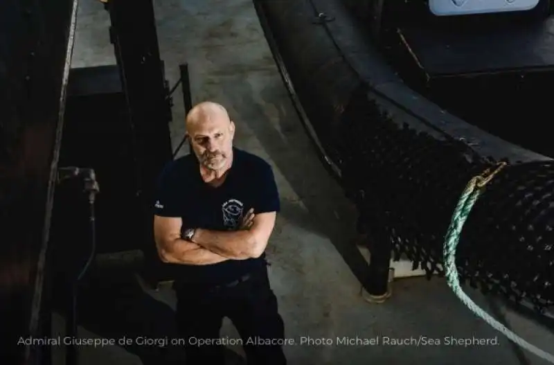 giuseppe de giorgi sea shepherd  