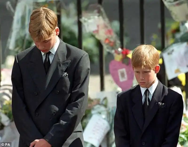 harry e william al funerale di diana