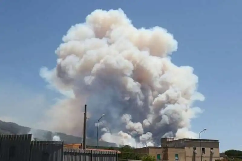 incendi sul vesuvio  3