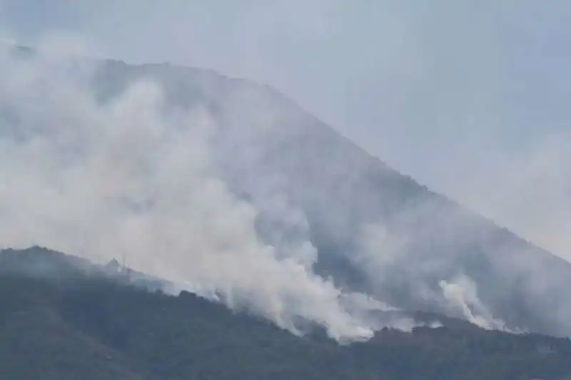 incendi sul vesuvio