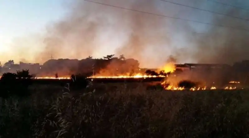 INCENDIO VITERBESE