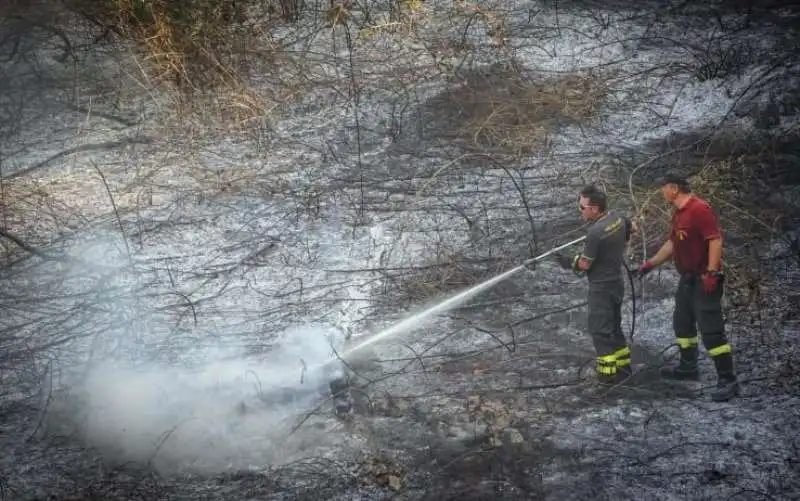 INCENDIO VITERBESE1