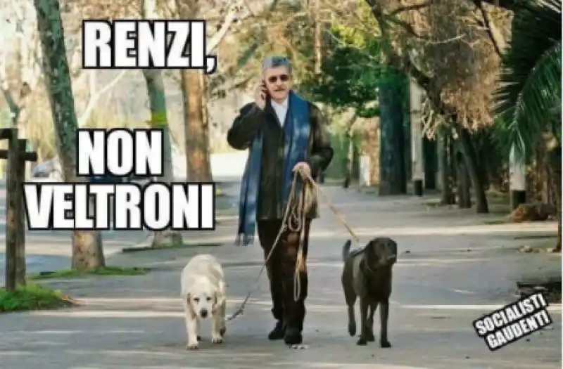 IRONIA WEB SUL MORSO DI UN CANE A VELTRONI