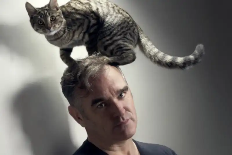 MORRISSEY