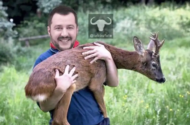 salvini post isoardi coi cerbiatti