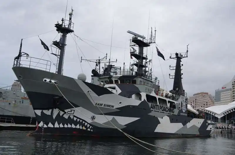 SEA SHEPHERD LA NAVE SAM SIMON