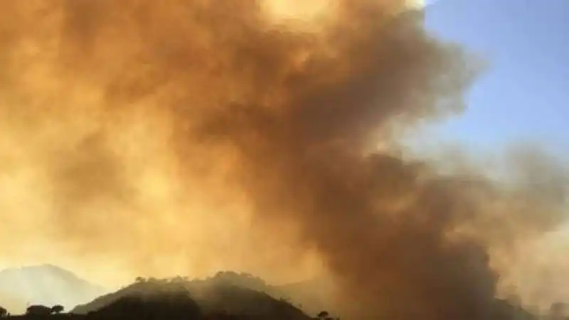 SICILIA INCENDI