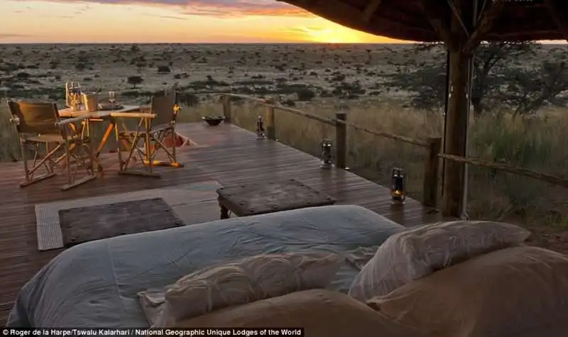 tswalu kalahari reserve in sudafrica