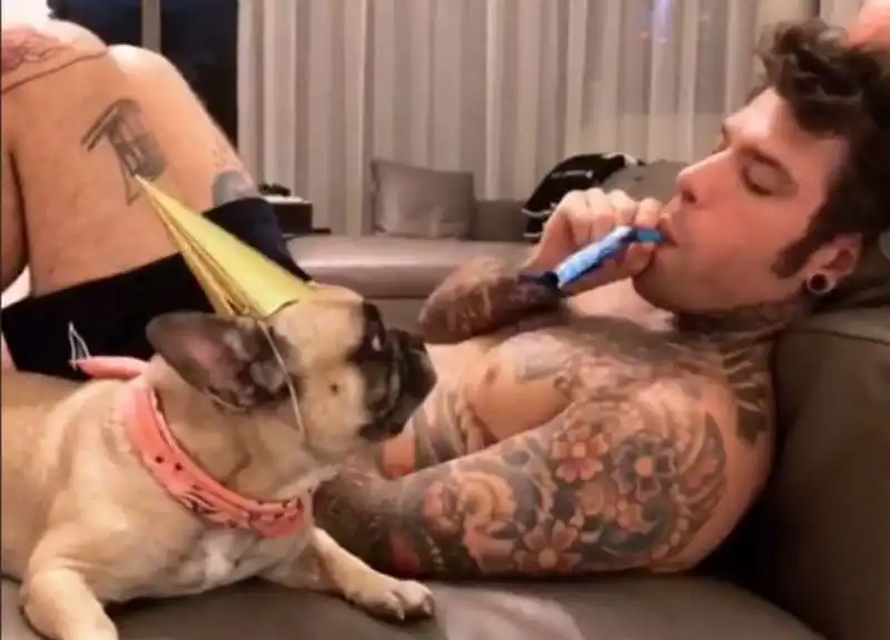 fedez