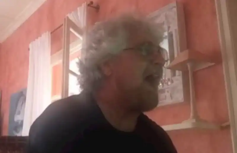 grillo