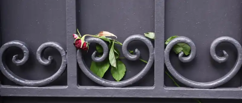 marchionne rosa cancello casa torinese