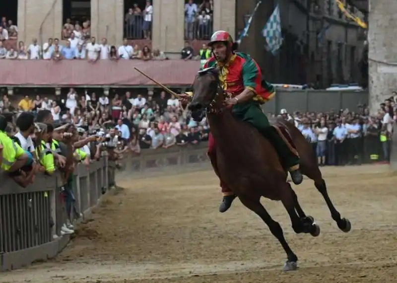 PALIO SIENA DRAGO 3