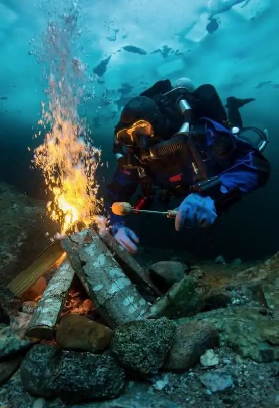 underwater photographer of the year 102