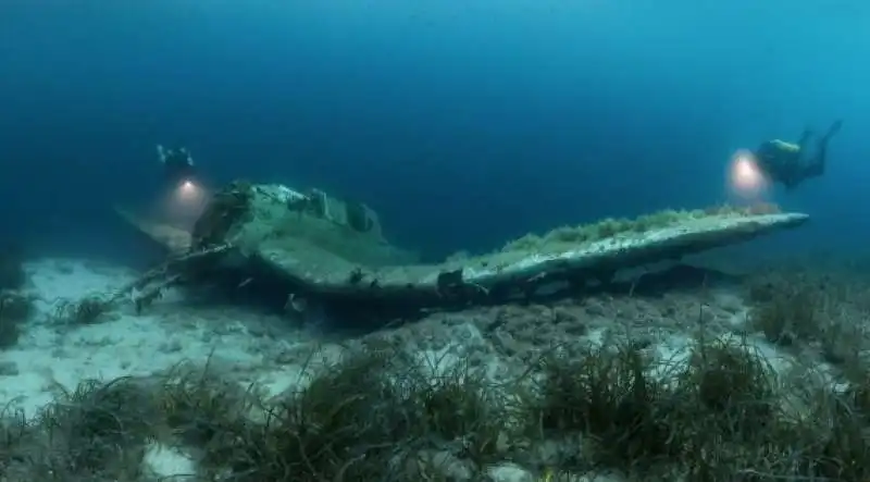 underwater photographer of the year 19