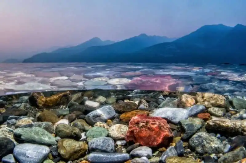 underwater photographer of the year 47